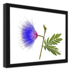 CARO Imagine în cadru - Blue-Pink Flower 40x30 cm Negru