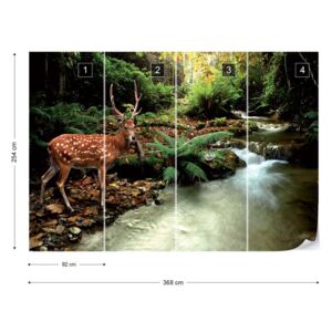Fototapet GLIX - Deer In Forest Tapet nețesute - 368x254 cm