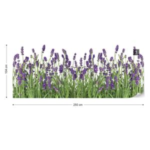 Fototapet GLIX - Lavender Tapet nețesute - 250x104 cm