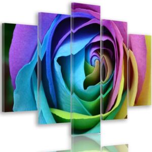 CARO Tablou pe pânză - Colorful Rose 100x70 cm