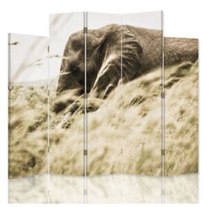 CARO Paravan - Elephant In The Grass | cinci păr?i | unilateral 180x180 cm