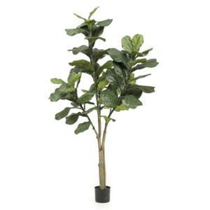 Ficus artificial Lyrata in ghiveci - 180 cm