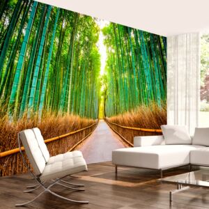 Fototapet Bimago - Bamboo Forest + Adeziv gratuit 300x210 cm