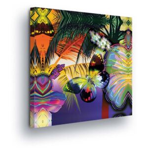 Tablou GLIX - Exotic Motyli 40x40 cm