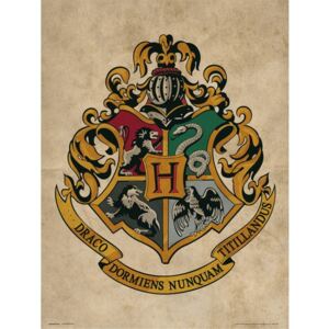Harry Potter - Hogwarts Crest Reproducere, (30 x 40 cm)