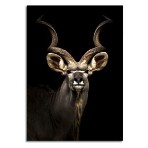 Tablou pe sticlă - Styler Antelope 70x100 cm