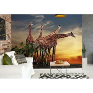 Fototapet - The Giraffes Vliesová tapeta - 104x70 cm