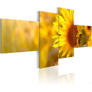 Tablou Bimago - Yellow Sunflower 100x45 cm