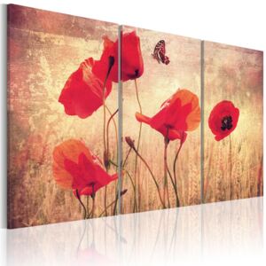 Tablou Bimago - Poppies in vintage style 60x40 cm