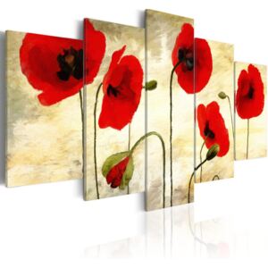 Tablou Bimago - Dreamy poppies 100x50 cm