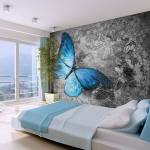 Fototapet Bimago - Blue butterfly 200x154 cm