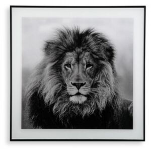 Tablou alb/negru din sticla 50x50 cm Lion Versa Home
