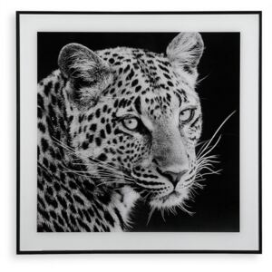Tablou alb/negru din sticla 50x50 cm Tiger Versa Home