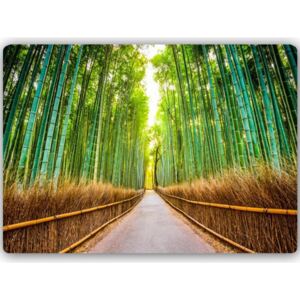 CARO Tablou metalic - Bamboo Forest 40x30 cm