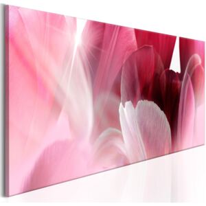 Tablou pe pânză - Flowers: Pink Tulips 120x40 cm