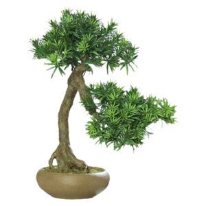Bonsai Podocarpus foarte realistic în vas ceramic, 60 cm
