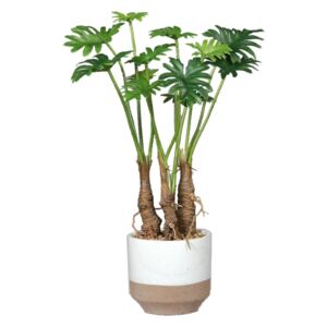Plantă Philodendron cu aspect 100% natural în vas ceramic, 46 cm