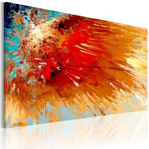 Mână pictată imagine Bimago - Explosion 90x60 cm