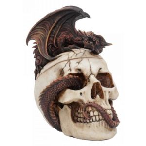 Cutie bijuterii dragon pe craniu Draconic Craniotomy 19.6 cm