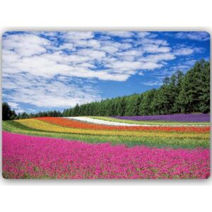 CARO Tablou metalic - Fields Of Flowers 40x30 cm