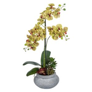 Aranjament orhidee artificiala galbena cu plante suculente, aspect 100% natural, 62 cm