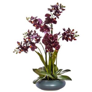 Orhidee burgundy în vas ceramic, aspect 100% natural, 51 cm