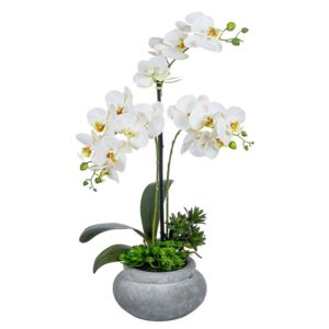 Aranjament orhidee albă cu plante suculente, aspect 100% natural, 62 cm