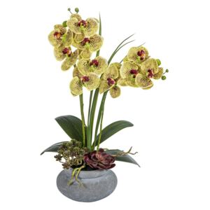 Aranjament orhidee galbena cu plante suculente, aspect 100% natural, 48 cm