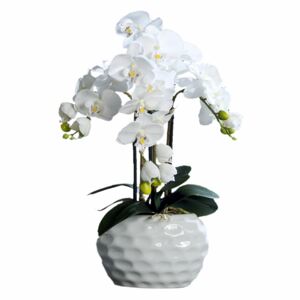 Orhidee Phalaenopsis în vas ceramic alb, 59 cm