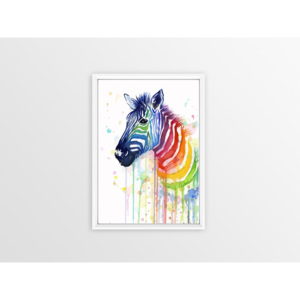 Poster Piacenza Art Rainbow Zebra
