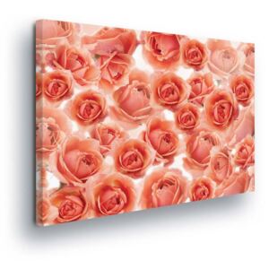Tablou - Flowers of Orange Roses 80x80 cm