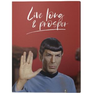 Star Trek - Live Long and Prosper Tablou Canvas, (60 x 80 cm)