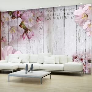 Fototapet Bimago - Apple Blossoms 400x280 cm