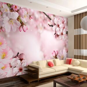 Fototapet Bimago - Spring Cherry Blossom 200x140 cm