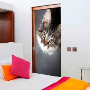 Fototapet pentru u?ă Bimago - Charming Kitten + adeziv gratuit 90x210 cm