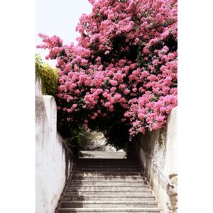 Fotografii artistice Flowery Staircase, Philippe Hugonnard