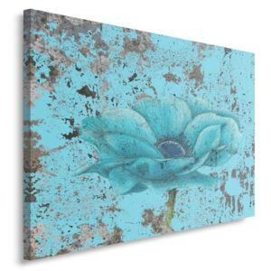 CARO Tablou pe pânză - Flower 5 70x50 cm