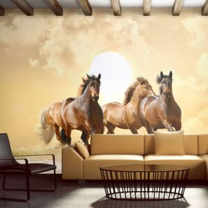 Fototapet Bimago - Running horses 200x154 cm