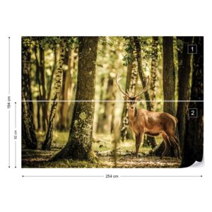 Fototapet GLIX - Deer In The Forest Nature Tapet nețesute - 254x184 cm