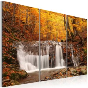 Tablou - Vodopád mezi podzimními stromy 60x40 cm