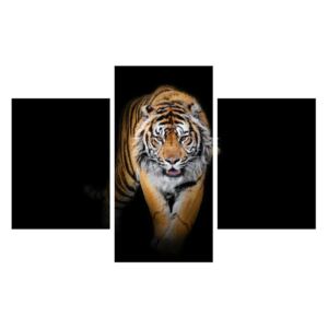 Tablou cu tigru (K012358K90603PCS)