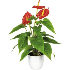 Planta artificiala Anthurium, H 40 cm, rosu