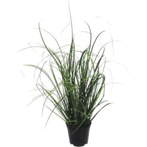 Planta artificiala, iarba la ghiveci, H 50 cm, verde