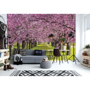 Fototapet GLIX - Flowering Trees + adeziv GRATUIT Papírová tapeta - 254x184 cm