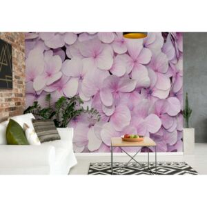 Fototapet - Pastel Flowers Purple Vliesová tapeta - 416x254 cm