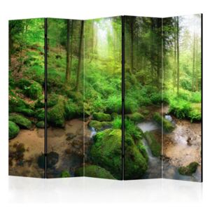 Paravan Bimago - Humid Forest 225x172 cm