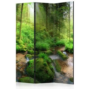 Paravan Bimago - Humid Forest 135x172 cm