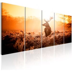 Tablou pe pânză - Deer at Sunset 200x80 cm