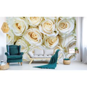 Foto tapet 3D White Roses, Dimex, 5 fâșii, 375 x 250cm