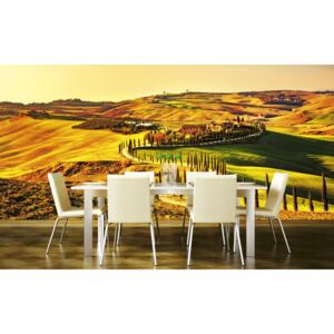 Foto tapet 3D Tuscany, Dimex, 5 fâșii, 375 x 250cm